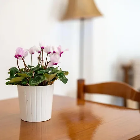 Apartman Plethora Homes Kamári