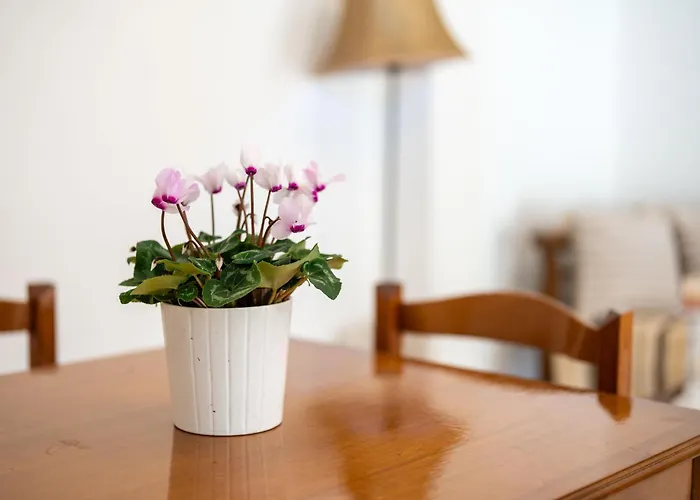 アパート Plethora Homes Kamári